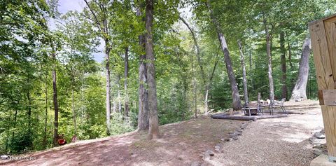 Tiny photo for 1709 Floyd Way, Gatlinburg, TN 37738 (MLS # 1339350)
