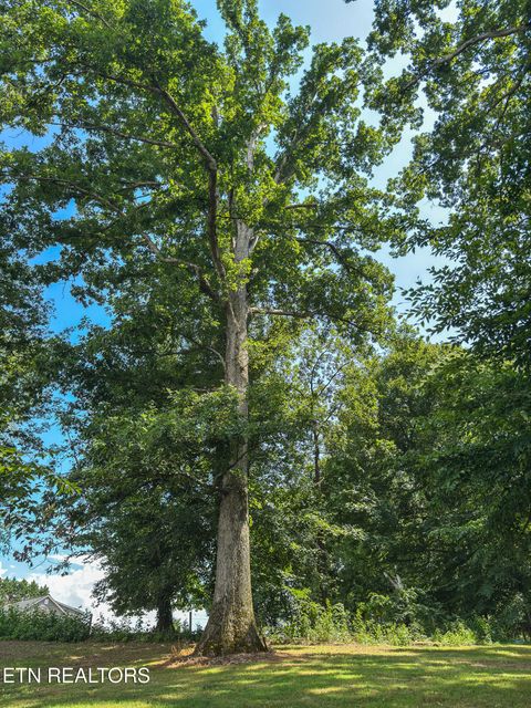 Tiny photo for 1519 Indian Warpath Rd, Sevierville, TN 37876 (MLS # 1347747)