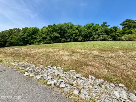 Tiny photo for The Gates Drive, Decatur, TN 37322 (MLS # 1339945)