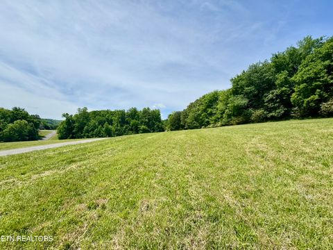 Tiny photo for The Gates Drive, Decatur, TN 37322 (MLS # 1339945)