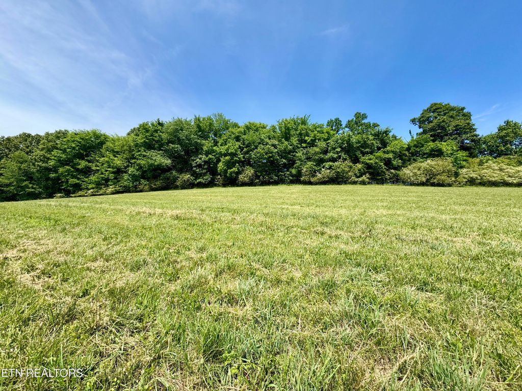 Photo of The Gates Drive, Decatur, TN 37322 (MLS # 1339945)