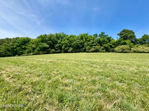 Tiny photo for The Gates Drive, Decatur, TN 37322 (MLS # 1339945)