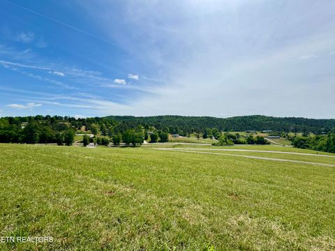 Tiny photo for The Gates Drive, Decatur, TN 37322 (MLS # 1339945)