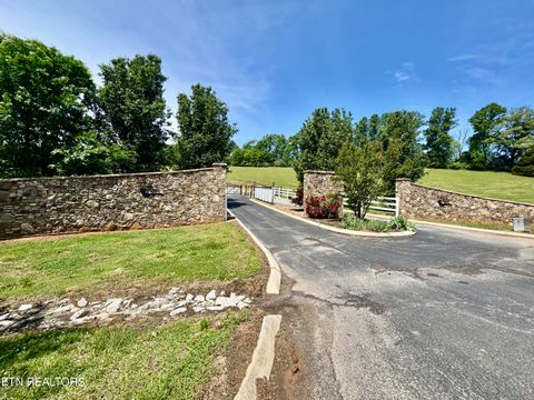 Tiny photo for The Gates Drive, Decatur, TN 37322 (MLS # 1339945)