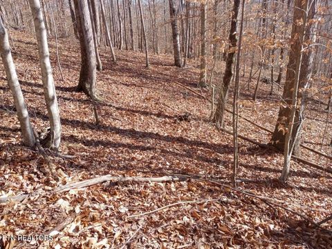 Tiny photo for Whistle Valley Rd, New Tazewell, TN 37825 (MLS # 1324743)