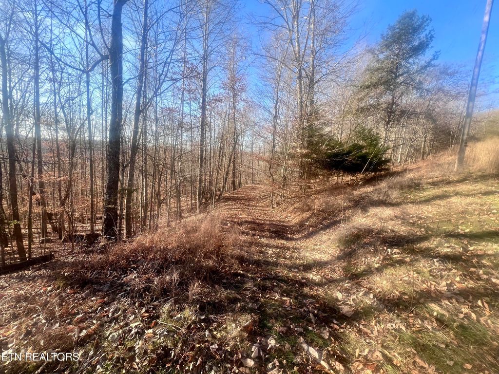 Photo of Whistle Valley Rd, New Tazewell, TN 37825 (MLS # 1324743)