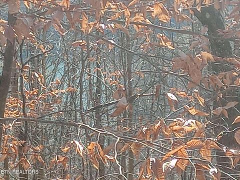 Tiny photo for Whistle Valley Rd, New Tazewell, TN 37825 (MLS # 1324743)