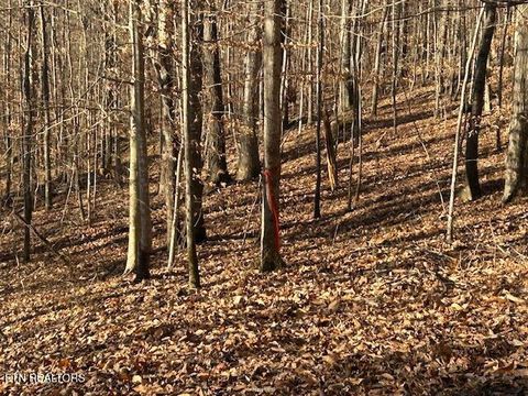 Tiny photo for Whistle Valley Rd, New Tazewell, TN 37825 (MLS # 1324743)