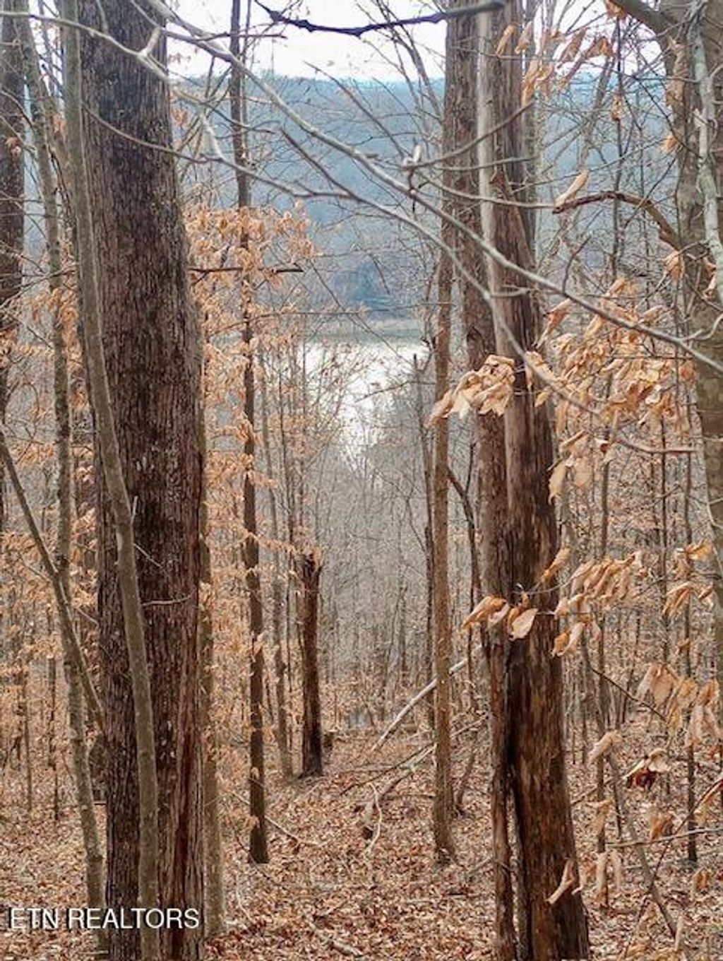 Photo of Whistle Valley Rd, New Tazewell, TN 37825 (MLS # 1324743)