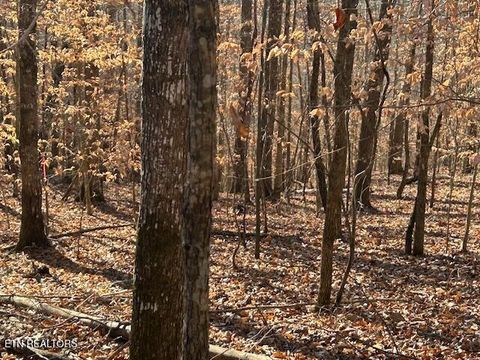 Tiny photo for Whistle Valley Rd, New Tazewell, TN 37825 (MLS # 1324743)