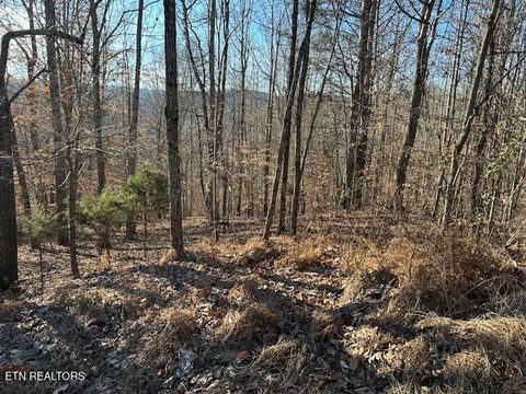 Tiny photo for Whistle Valley Rd, New Tazewell, TN 37825 (MLS # 1324743)