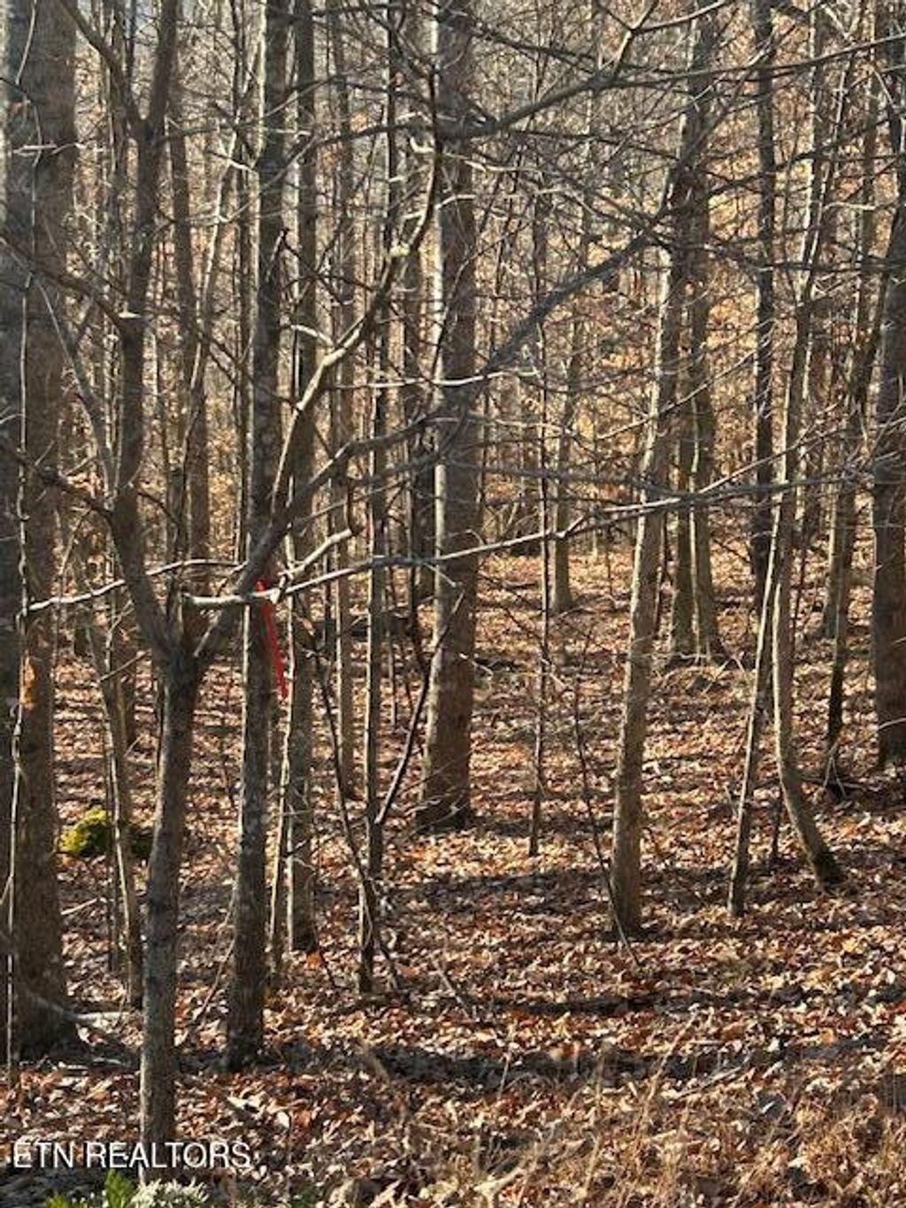 Photo of Whistle Valley Rd, New Tazewell, TN 37825 (MLS # 1324743)