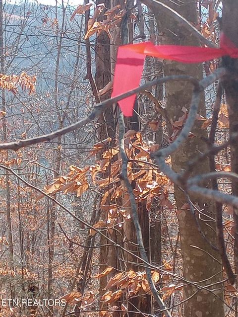 Tiny photo for Whistle Valley Rd, New Tazewell, TN 37825 (MLS # 1324743)