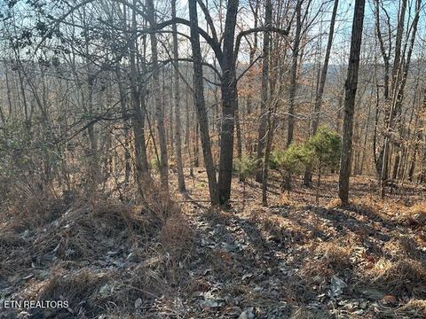 Tiny photo for Whistle Valley Rd, New Tazewell, TN 37825 (MLS # 1324743)