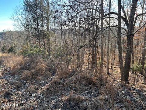Tiny photo for Whistle Valley Rd, New Tazewell, TN 37825 (MLS # 1324743)