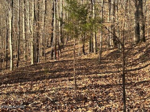 Tiny photo for Whistle Valley Rd, New Tazewell, TN 37825 (MLS # 1324743)