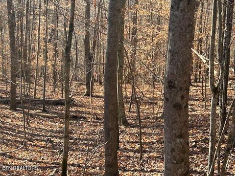 Tiny photo for Whistle Valley Rd, New Tazewell, TN 37825 (MLS # 1324743)