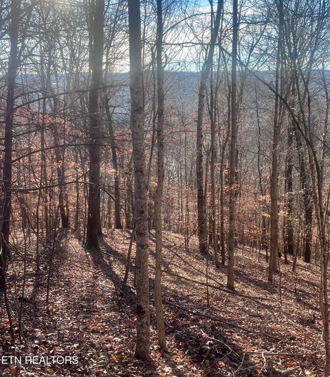 Tiny photo for Whistle Valley Rd, New Tazewell, TN 37825 (MLS # 1324743)