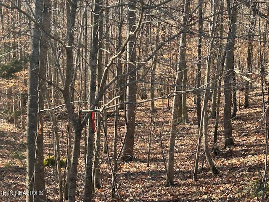 Photo of Whistle Valley Rd, New Tazewell, TN 37825 (MLS # 1324743)