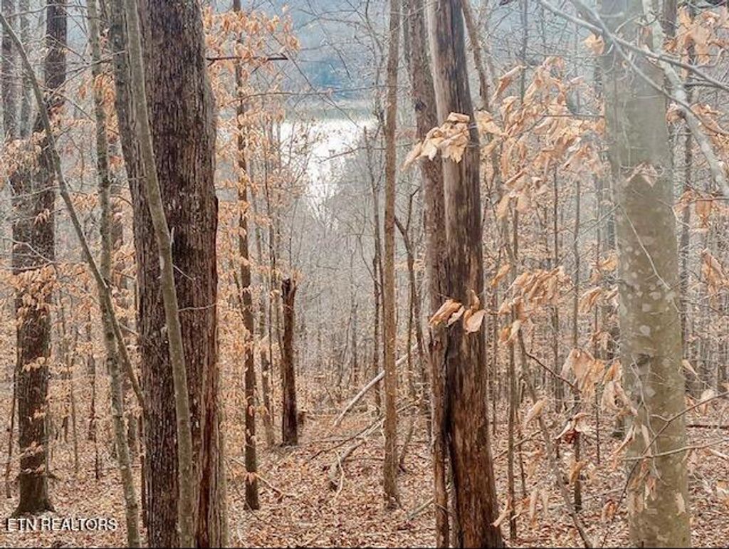 Photo of Whistle Valley Rd, New Tazewell, TN 37825 (MLS # 1324743)