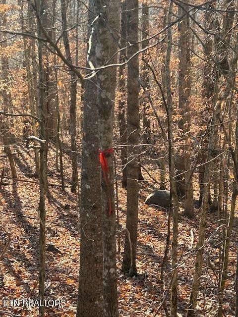 Tiny photo for Whistle Valley Rd, New Tazewell, TN 37825 (MLS # 1324743)