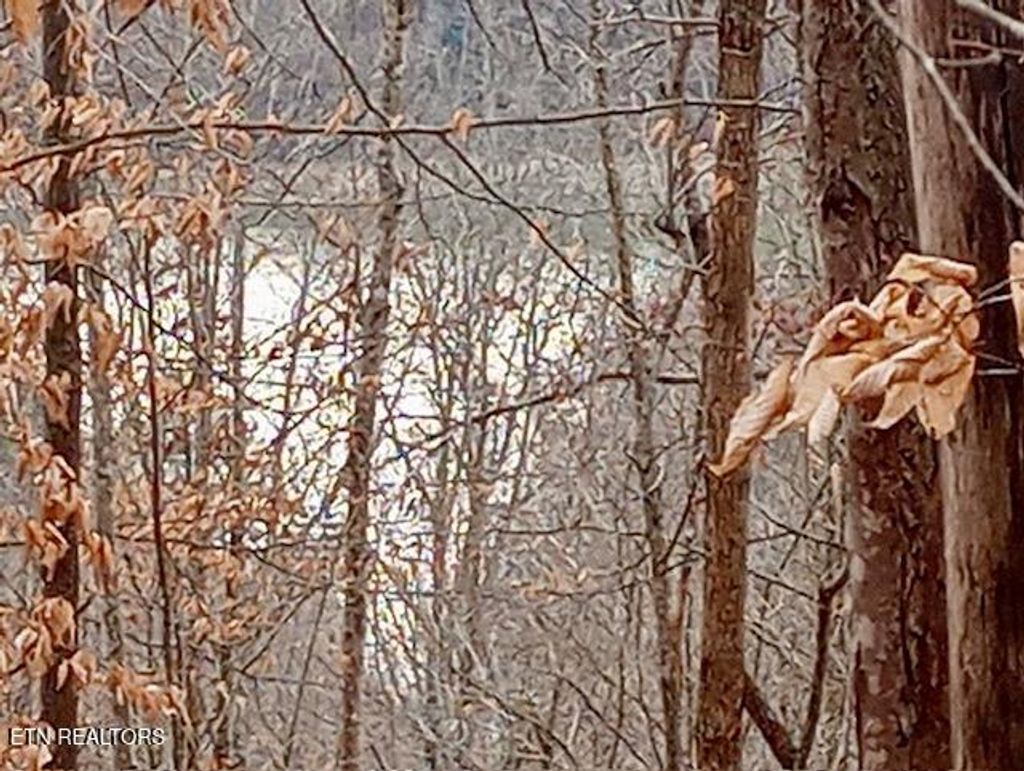 Photo of Whistle Valley Rd, New Tazewell, TN 37825 (MLS # 1324743)