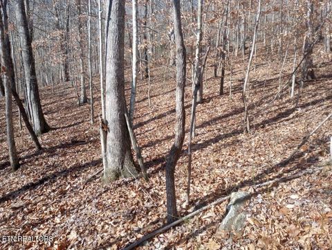 Tiny photo for Whistle Valley Rd, New Tazewell, TN 37825 (MLS # 1324743)