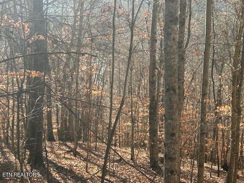Tiny photo for Whistle Valley Rd, New Tazewell, TN 37825 (MLS # 1324743)