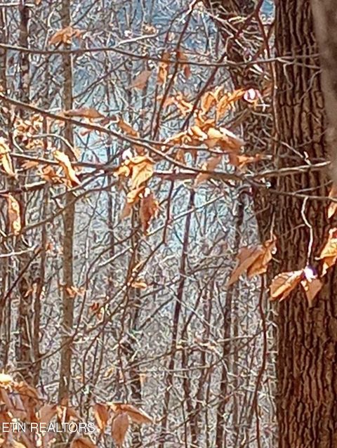 Tiny photo for Whistle Valley Rd, New Tazewell, TN 37825 (MLS # 1324743)