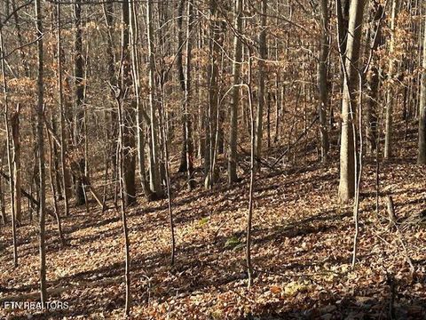 Tiny photo for Whistle Valley Rd, New Tazewell, TN 37825 (MLS # 1324743)