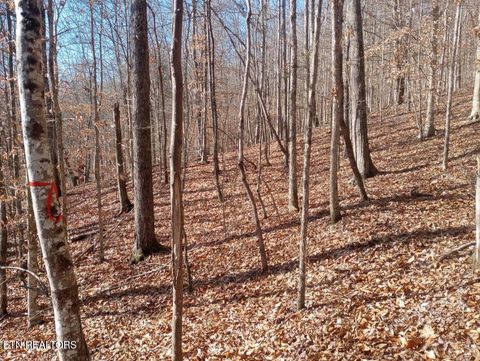 Tiny photo for Whistle Valley Rd, New Tazewell, TN 37825 (MLS # 1324743)