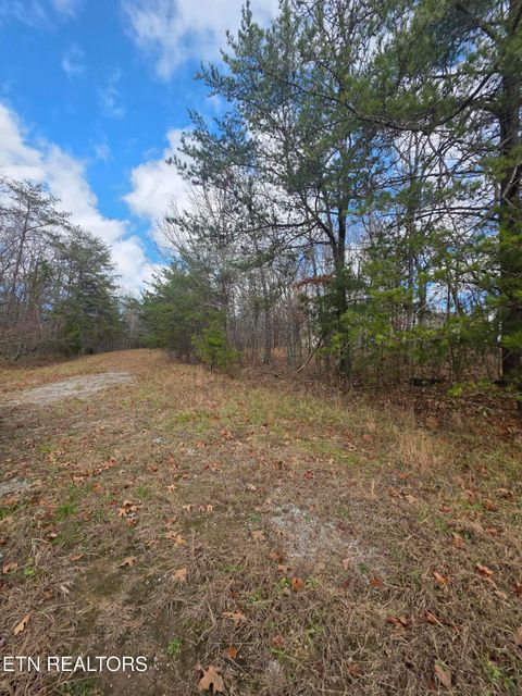 Photo of 523 Lakeview Drive, Crossville, TN 38558 (MLS # 1323131)