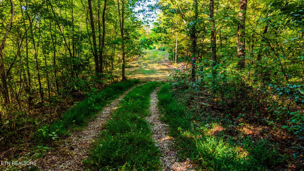 Photo of 429 King Branch Rd, Sevierville, TN 37876 (MLS # 1358261)