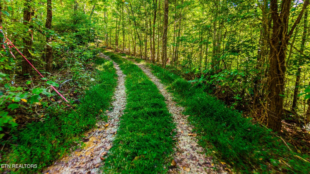 Photo of 429 King Branch Rd, Sevierville, TN 37876 (MLS # 1358261)
