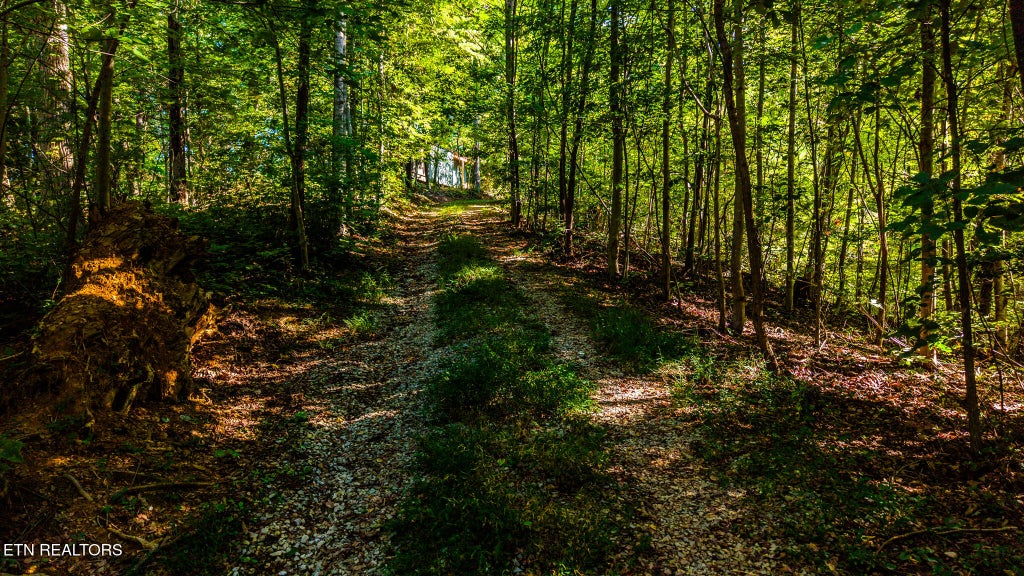 Photo of 429 King Branch Rd, Sevierville, TN 37876 (MLS # 1358261)
