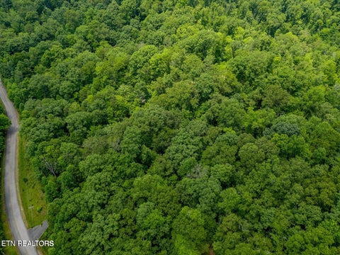 Tiny photo for Crystal Springs Rd, Rockwood, TN 37854 (MLS # 1359443)