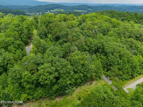 Tiny photo for Crystal Springs Rd, Rockwood, TN 37854 (MLS # 1359443)