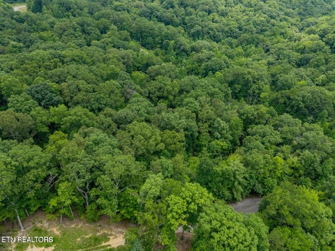 Tiny photo for Crystal Springs Rd, Rockwood, TN 37854 (MLS # 1359443)