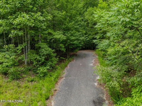 Tiny photo for Crystal Springs Rd, Rockwood, TN 37854 (MLS # 1359443)