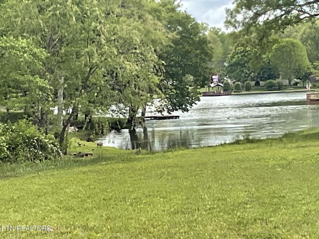 Photo of 390 Deer Creek Drive, Crossville, TN 38571 (MLS # 1339950)