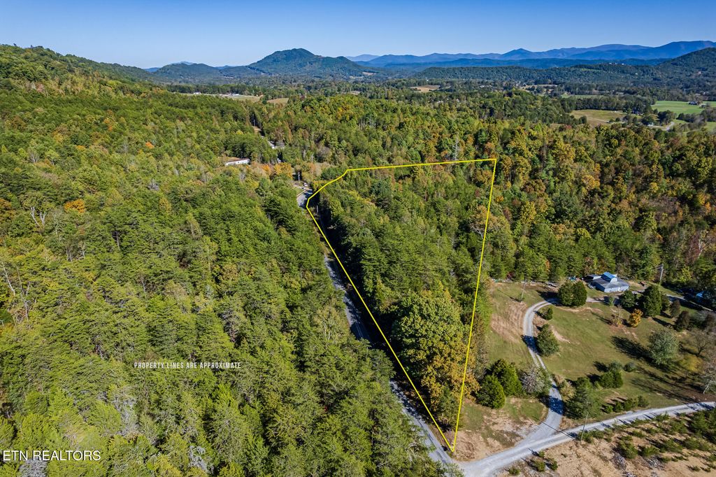 Photo of Payne Road, Tellico Plains, TN 37385 (MLS # 1280138)