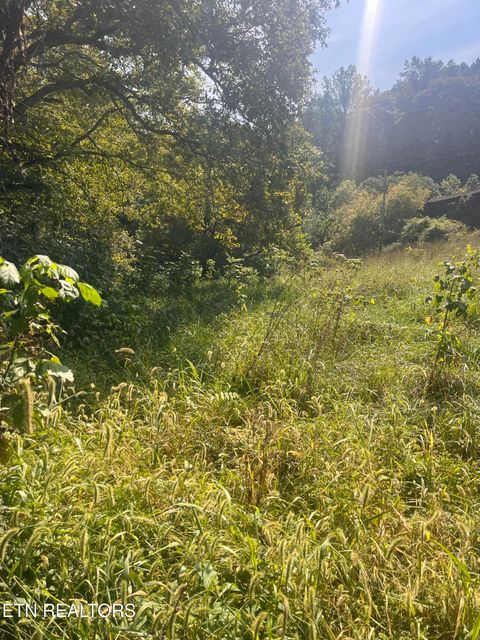Tiny photo for 346 Wolfenbarger Lane, Luttrell, TN 37779 (MLS # 1315726)
