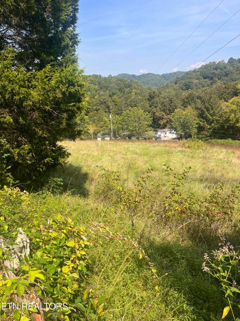 Tiny photo for 346 Wolfenbarger Lane, Luttrell, TN 37779 (MLS # 1315726)