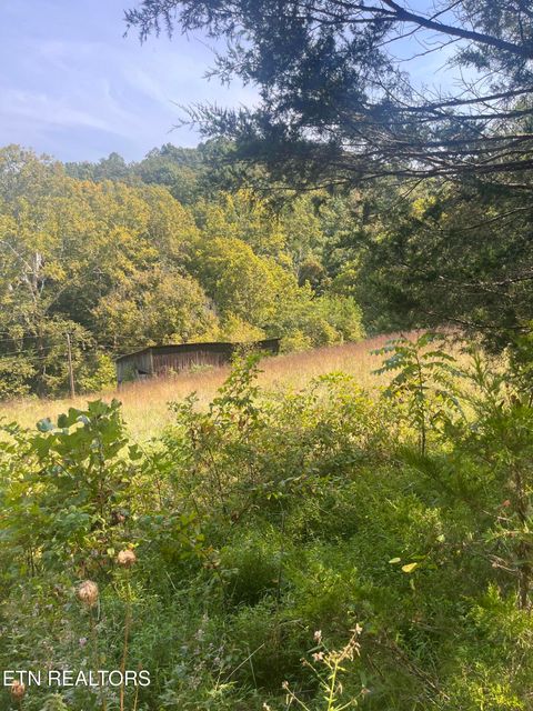Tiny photo for 346 Wolfenbarger Lane, Luttrell, TN 37779 (MLS # 1315726)