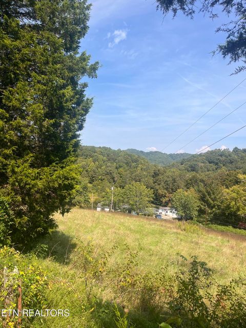Tiny photo for 346 Wolfenbarger Lane, Luttrell, TN 37779 (MLS # 1315726)