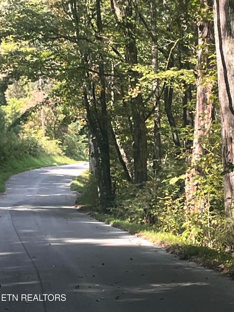 Tiny photo for 346 Wolfenbarger Lane, Luttrell, TN 37779 (MLS # 1315726)
