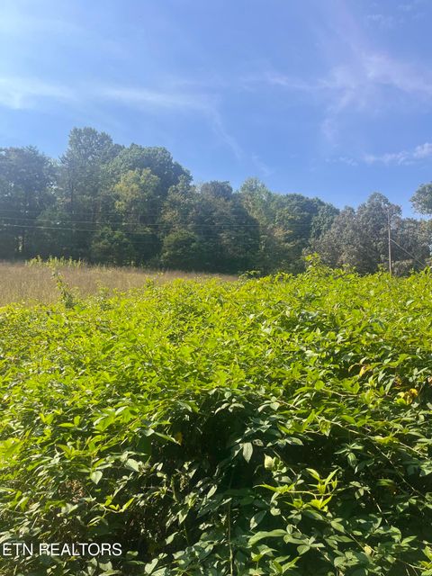 Tiny photo for 346 Wolfenbarger Lane, Luttrell, TN 37779 (MLS # 1315726)