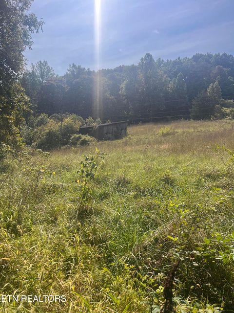 Tiny photo for 346 Wolfenbarger Lane, Luttrell, TN 37779 (MLS # 1315726)