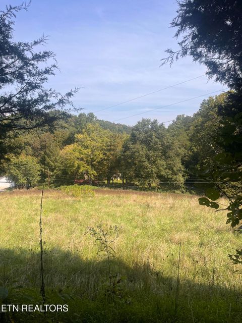 Tiny photo for 346 Wolfenbarger Lane, Luttrell, TN 37779 (MLS # 1315726)
