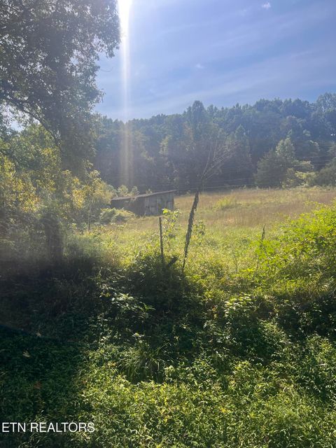 Tiny photo for 346 Wolfenbarger Lane, Luttrell, TN 37779 (MLS # 1315726)